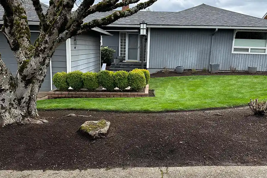 Landscape Maintenance