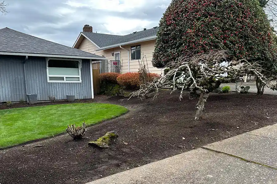Landscaping