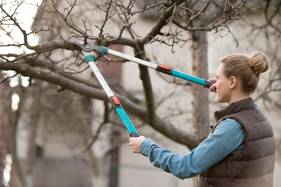 Tree Pruning