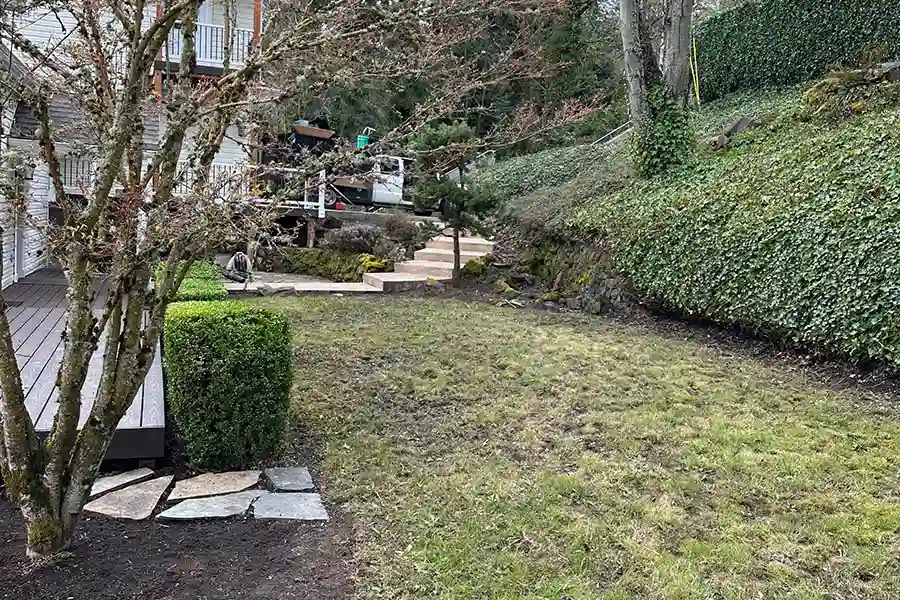 Yard Cleanups