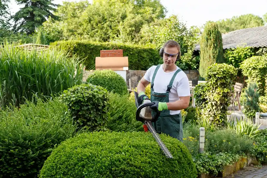 How to Trim Bushes in Portland, OR How to Trim Bushes in Portland, OR