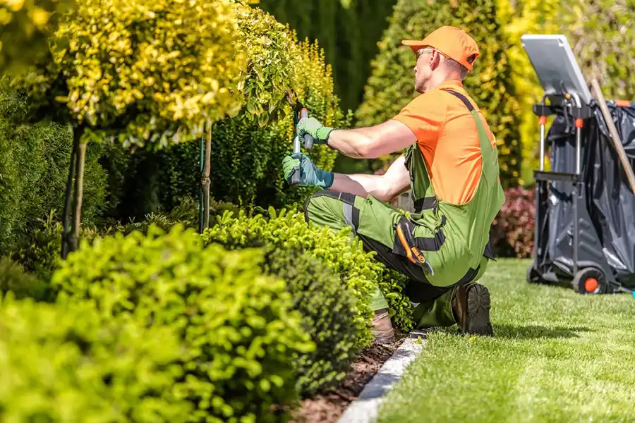 How to Trim Bushes Portland, OR How to Trim Bushes Portland, OR