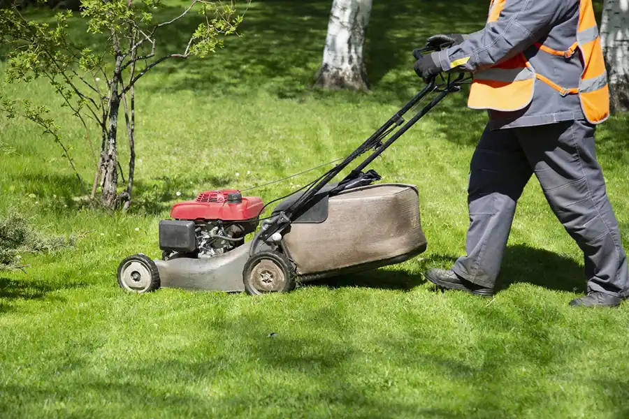 Professional Landscape Maintenance in Portland, OR Reliable Landscape Maintenance in Portland, OR