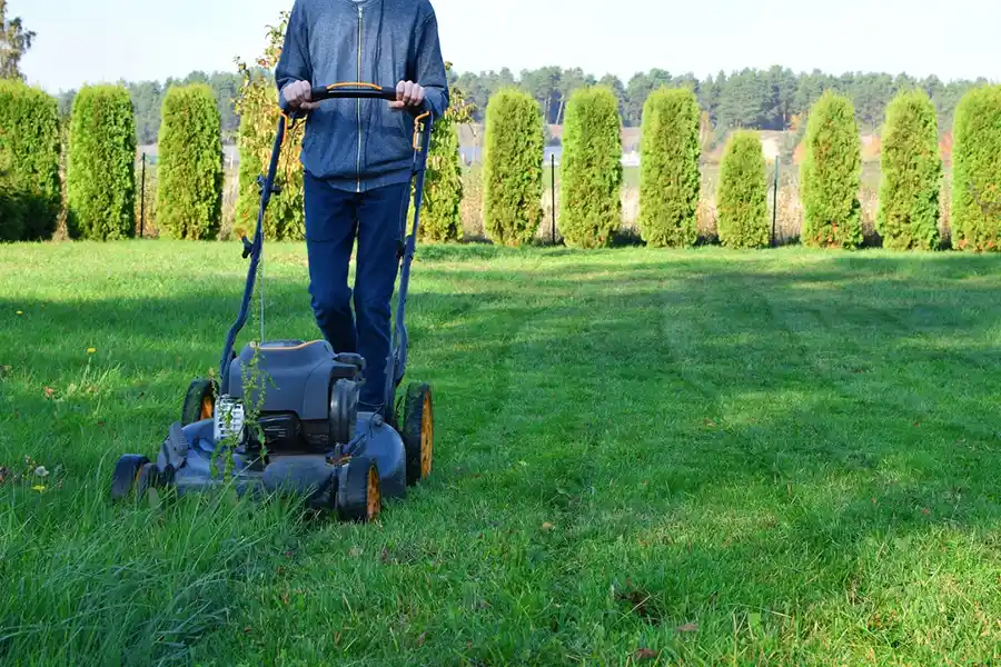 What Is Landscape Maintenance in Portland, OR What Is Landscape Maintenance in Portland, OR